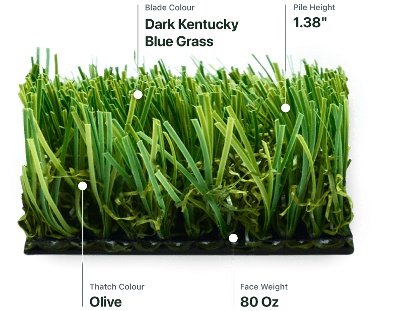 Kentucky Blue® Lite