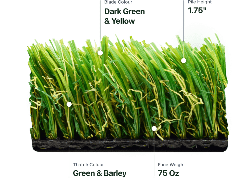 Natural Fescue®
